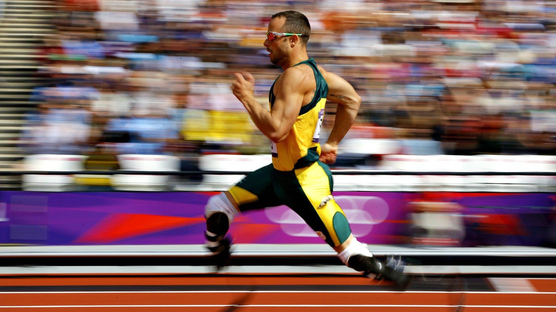 体育新闻中心粉丝互动报道，体育新闻报道视频